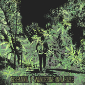 Wandering In A Haze