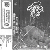 Midnight Reprisal