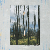 Watercress