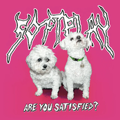 SOFT PLAY – Are You Satisfied?