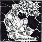 Nothing Changes 7