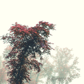 Nullingroots