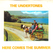 Here Comes the Summer