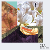 See.SZA.Run cover
