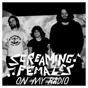 On My Radio cover