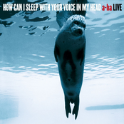 How Can I Sleep With Your Voice in My Head