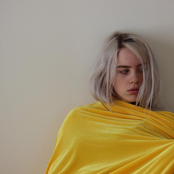Bored cover