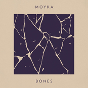 Bones