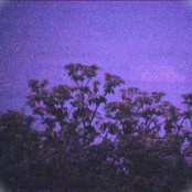 nocturne
