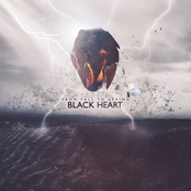 From Fall To Spring – BLACK HEART