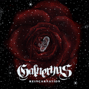 Reincarnation