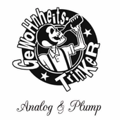 Analog & Plump