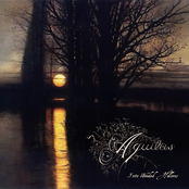 Into Wooded Hollows - Single