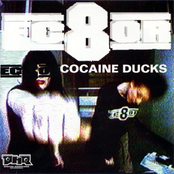 Cocaine Ducks