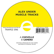 Muscle Tracks