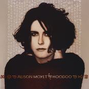 Hoodoo cover