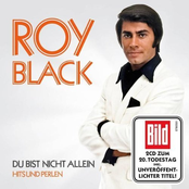 Du bist nicht allein - Hits und Perlen