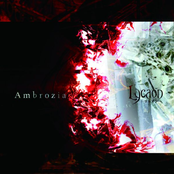 Ambrozia