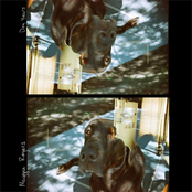 Dog Years cover