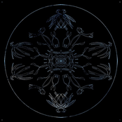 IV
