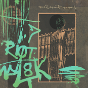 Riot Mix '78