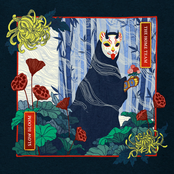 The Home Team – Slow Bloom