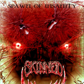 Spawn Of Insanity