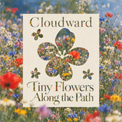 Tiny Flowers Along the Path