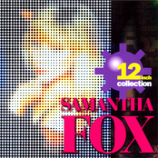 12 Inch Collection cover