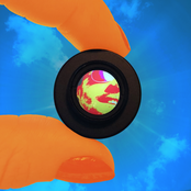 Nottovision