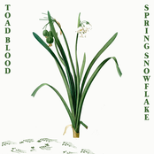 Spring Snowflake