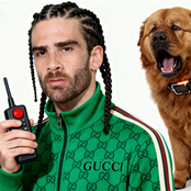 Shock My Dog I Can't Stop