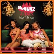 I Don't Know cover