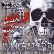 Inkubatörr