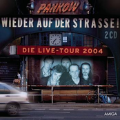 Wieder auf der Straße