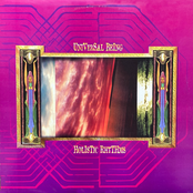Holistic Rhythms