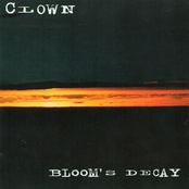 Bloom's Decay