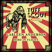 Bird In Flight cover