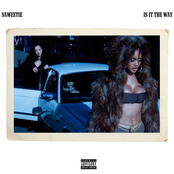 Is It The Way cover