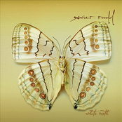 Xavier Rudd – White Moth