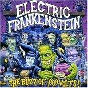 The Buzz Of 1000 Volts