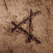 Tracked In Mud
