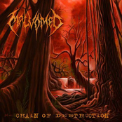 Chain of Destruction