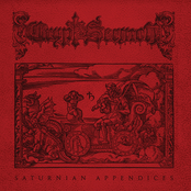 Saturnian Appendices