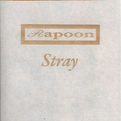 Stray