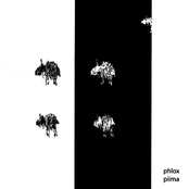 Piima