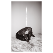 Fantasy by Julia Holter