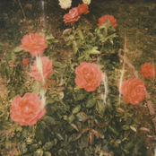 chapter 2 cover