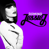 Domino cover