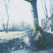 landscape 01